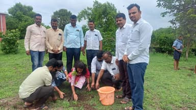 वृक्षारोपण